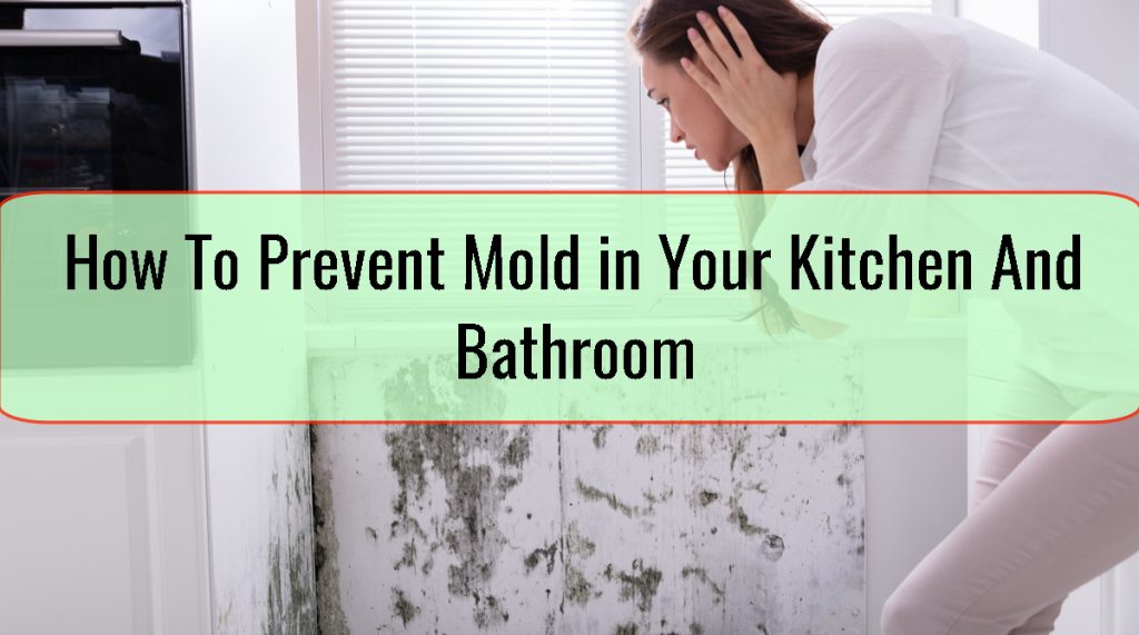 How To Prevent Mold in Your Kitchen And Bathroom